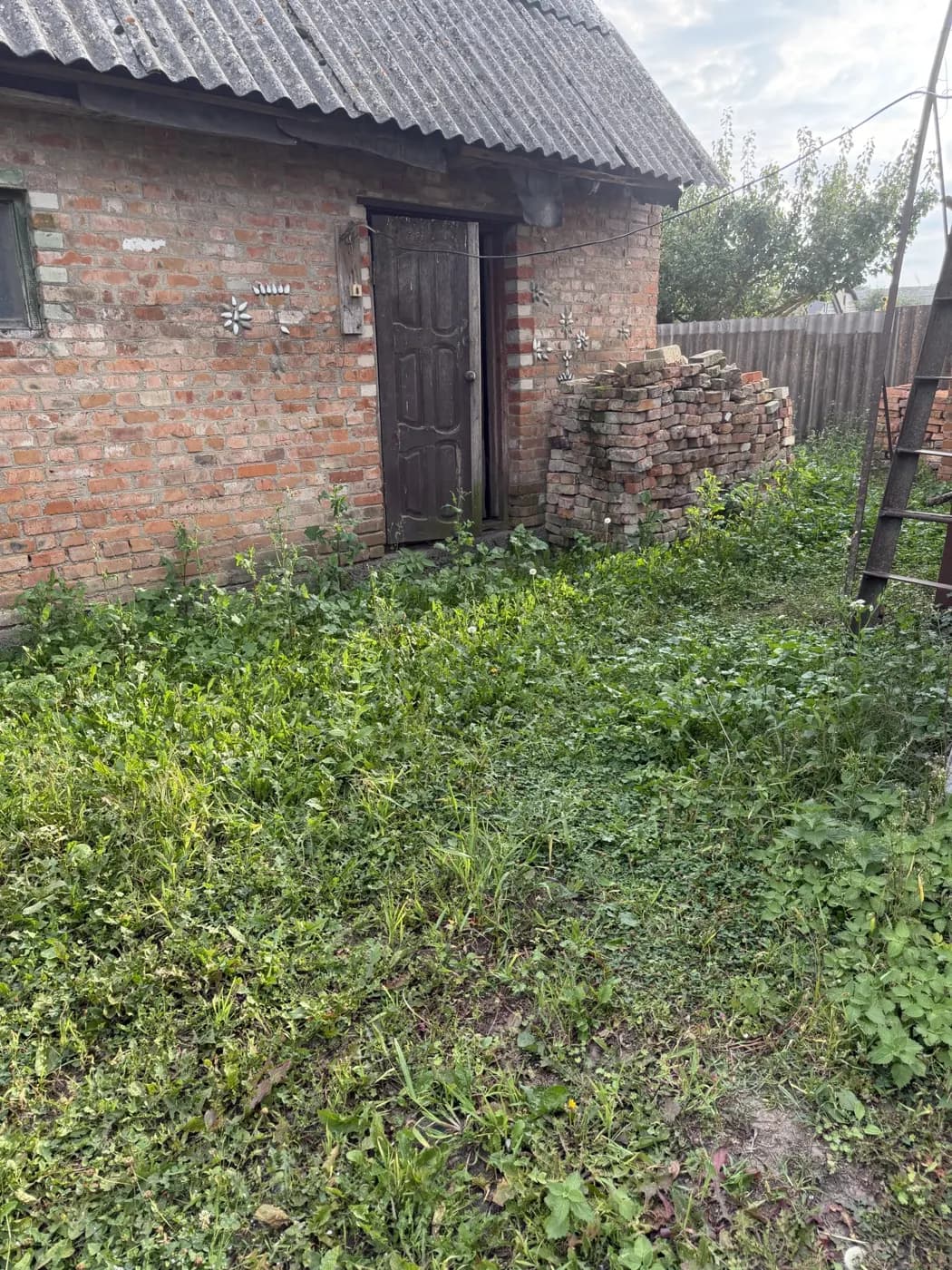 До: Розчищення біля будівлі