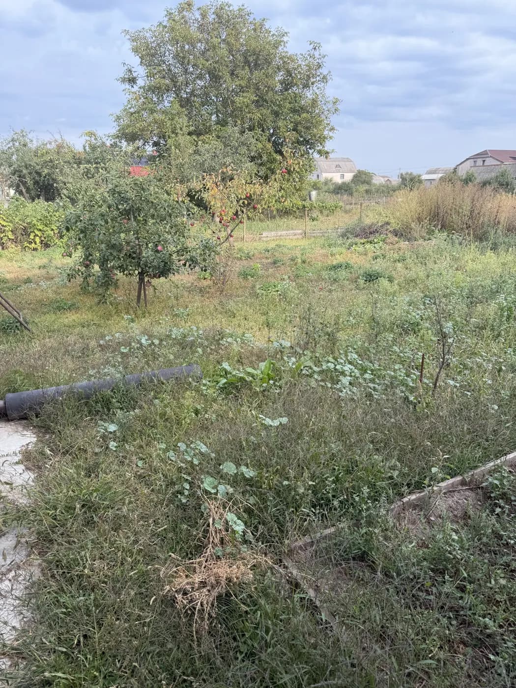 До: Косіння садової ділянки