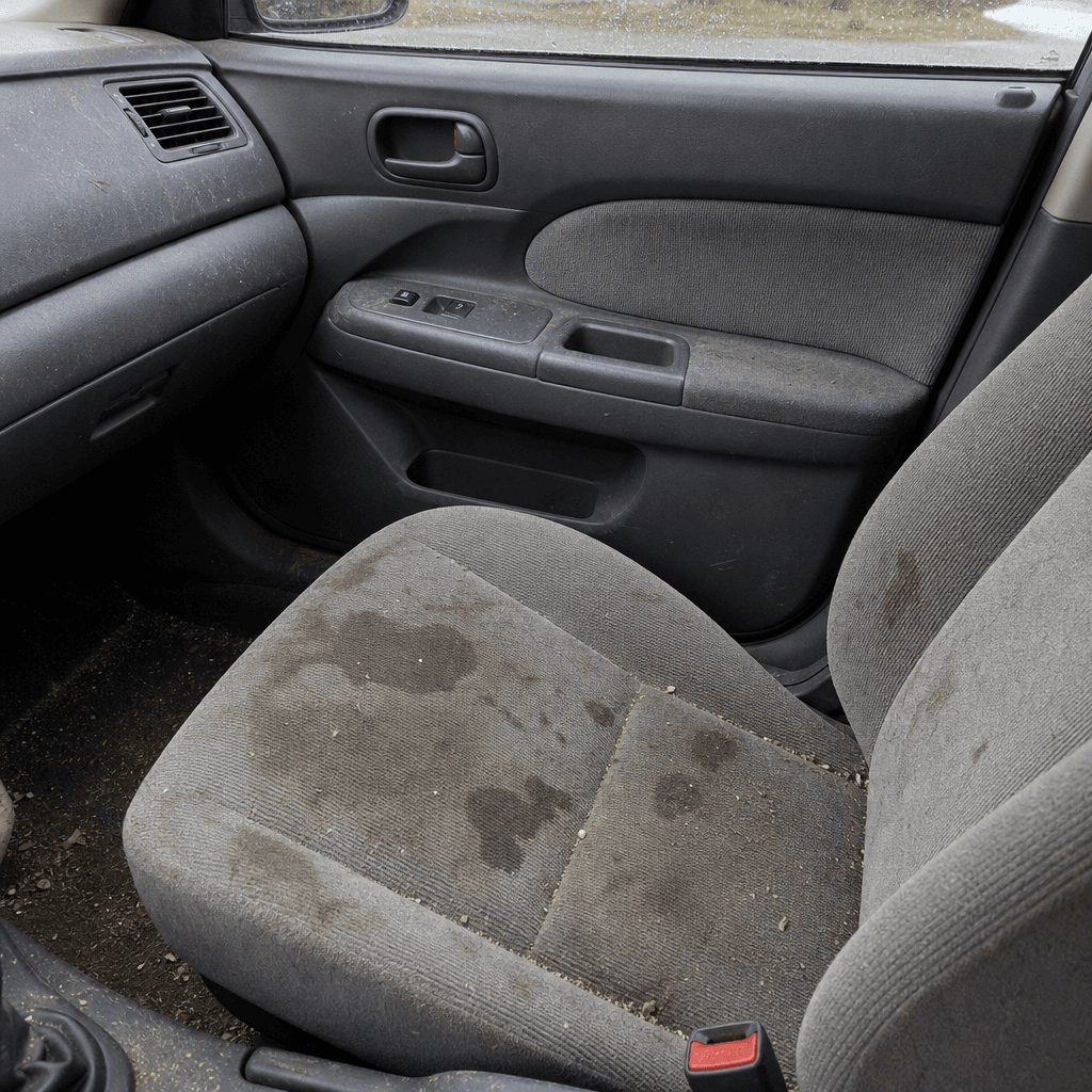 Результат клінінгу Goldi Clean у Вінниці — фото 5